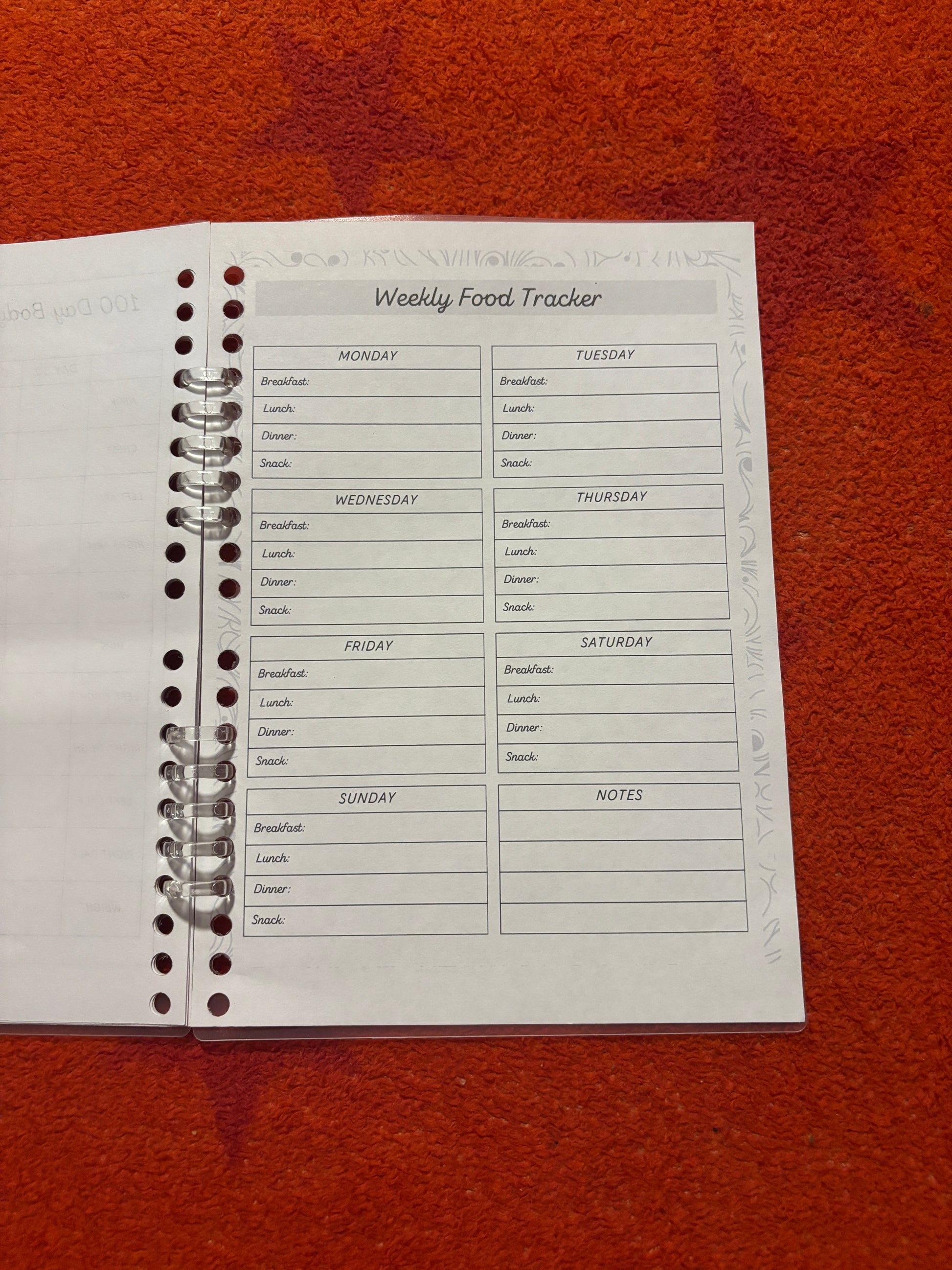Journal - 100 Day Body tracker