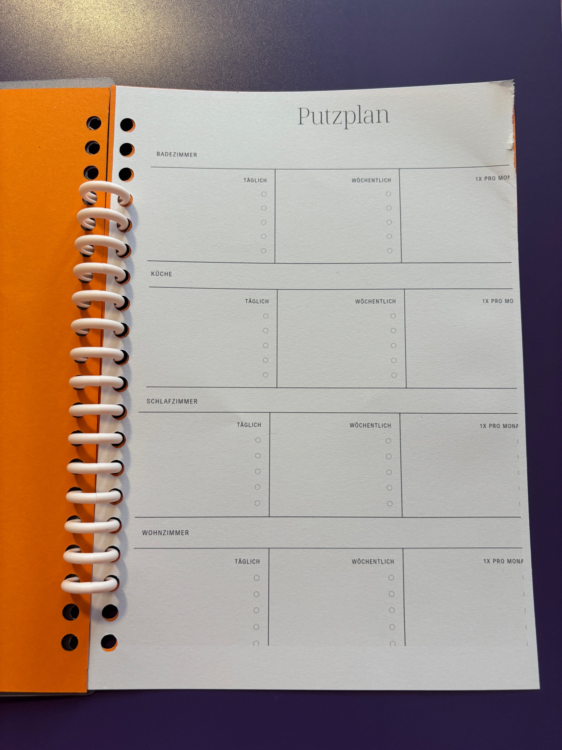 Journal - Putzplan