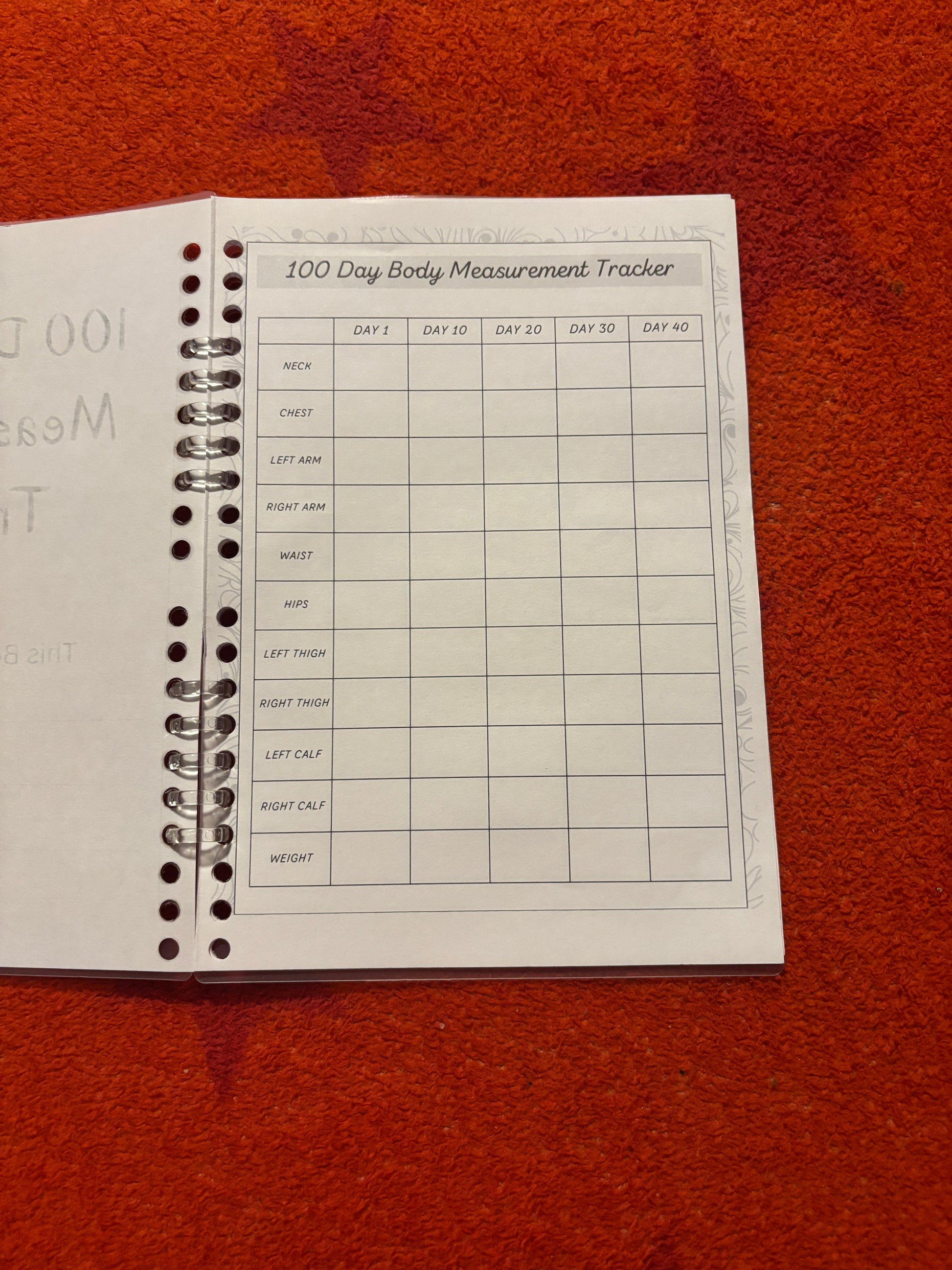 Journal - 100 Day Body tracker