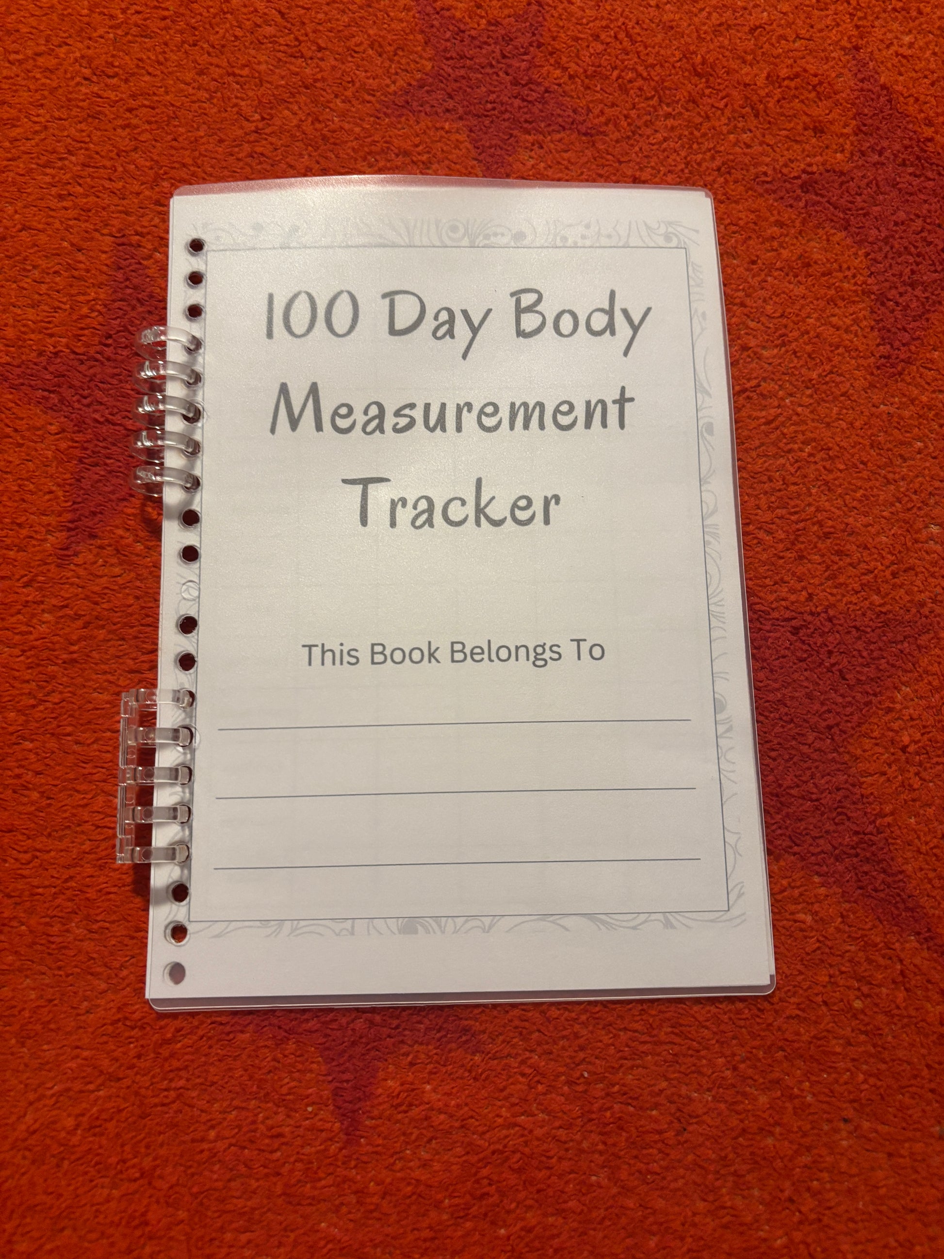 Journal - 100 Day Body tracker